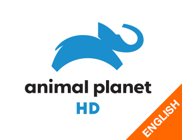 Animal Planet HD World